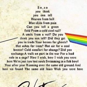 Meet your Posher, Janel